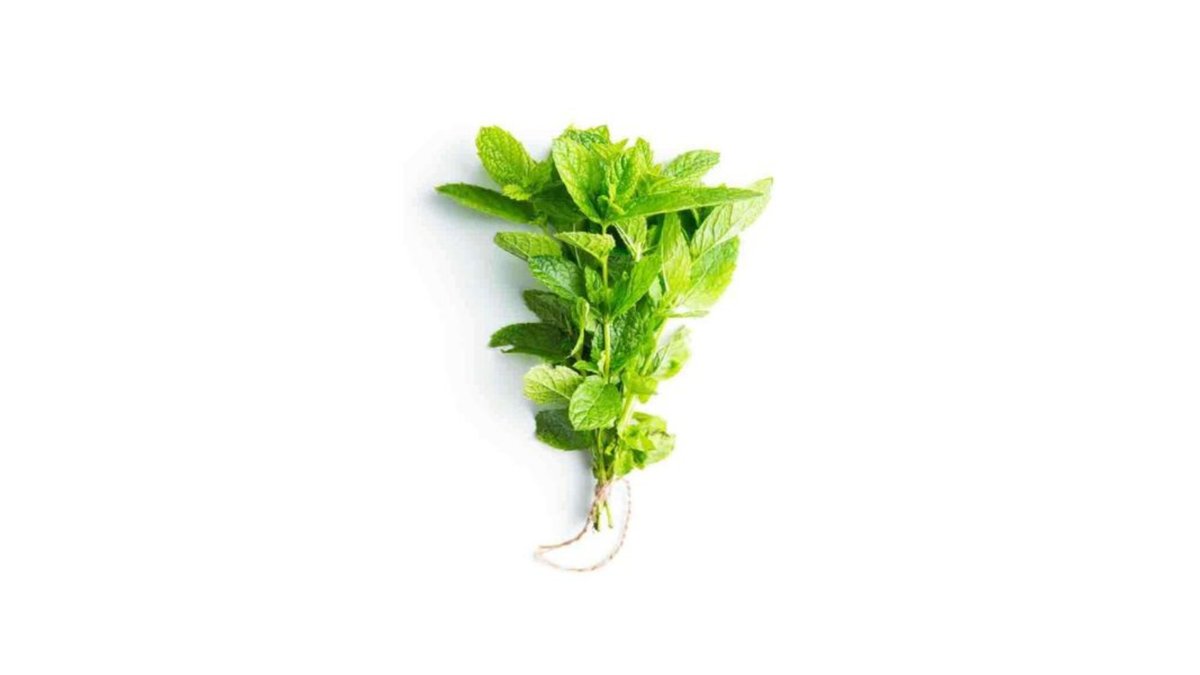 Herb