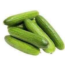 Planta კიტრი garden cucumber (900 g)