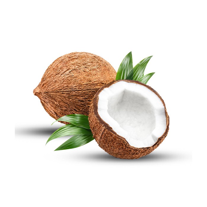 Coconut (1 pcs)