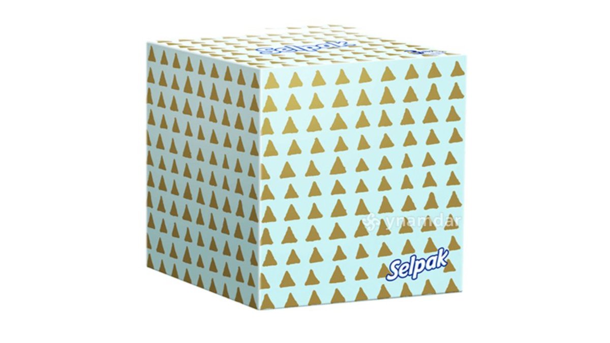 Selpak Антибактериальные Влажные Салфетки Boutique (48 pcs)
