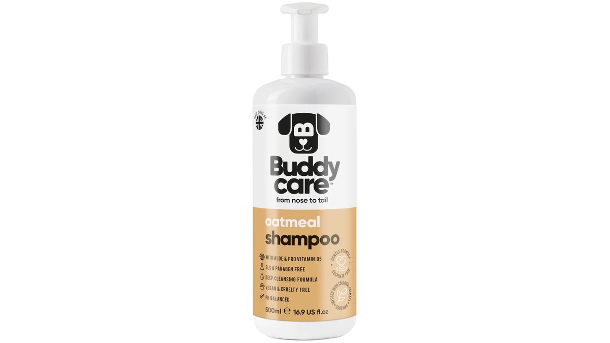 Bodycare Anti-Allergy Shampoo Oatmeal Flavor (500 ml)