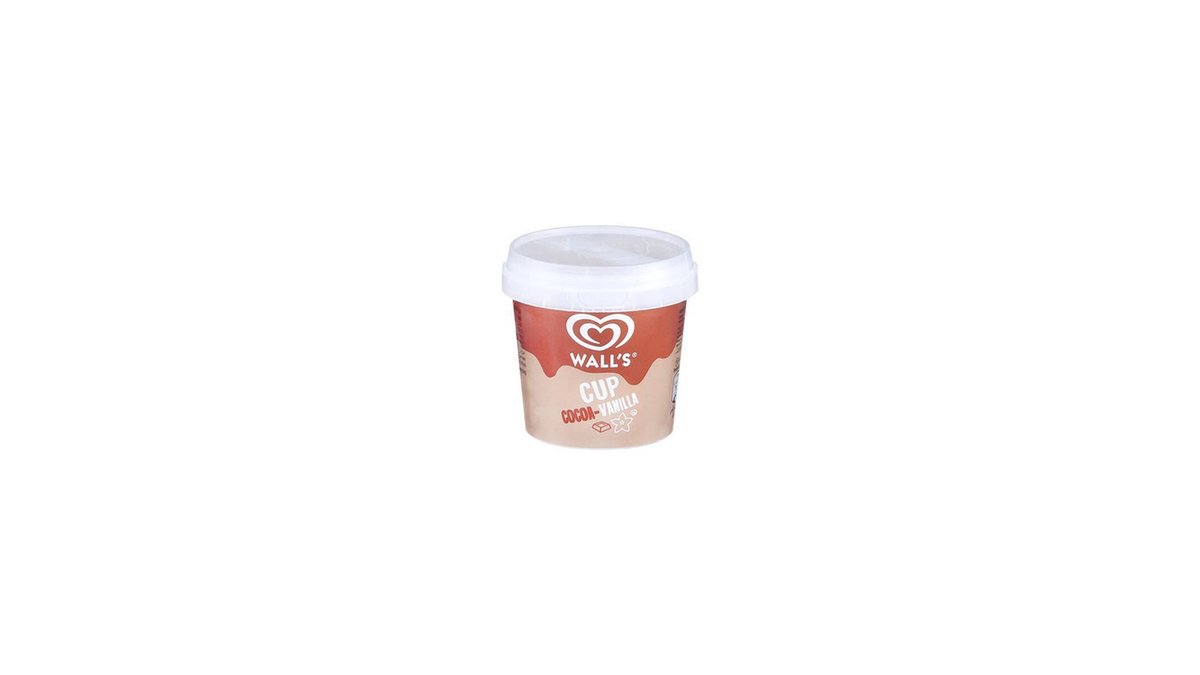 ALGIDA ნაყინი Vanilla and Cocoa (100 ml)