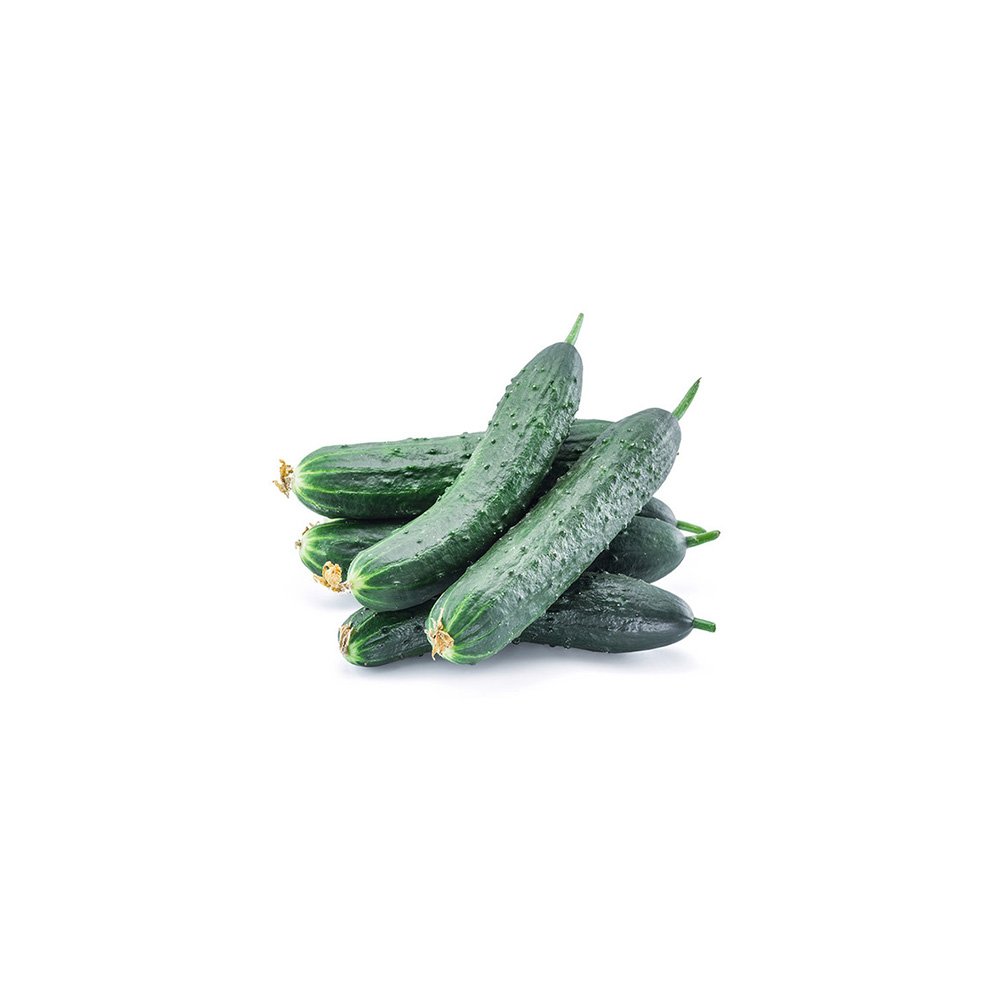 Garden Cucumbers (1 kg)