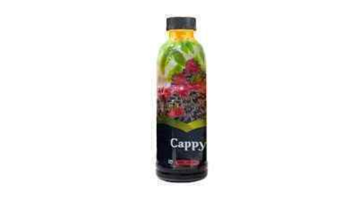 Kapi сок Forest Berries (1 l)