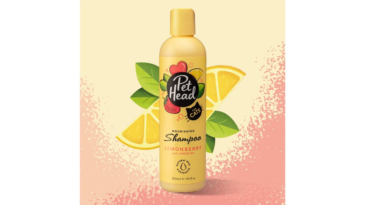 Fathead Anti-Allergy Shampoo Strawberry & Lemon Flavor (300 ml)