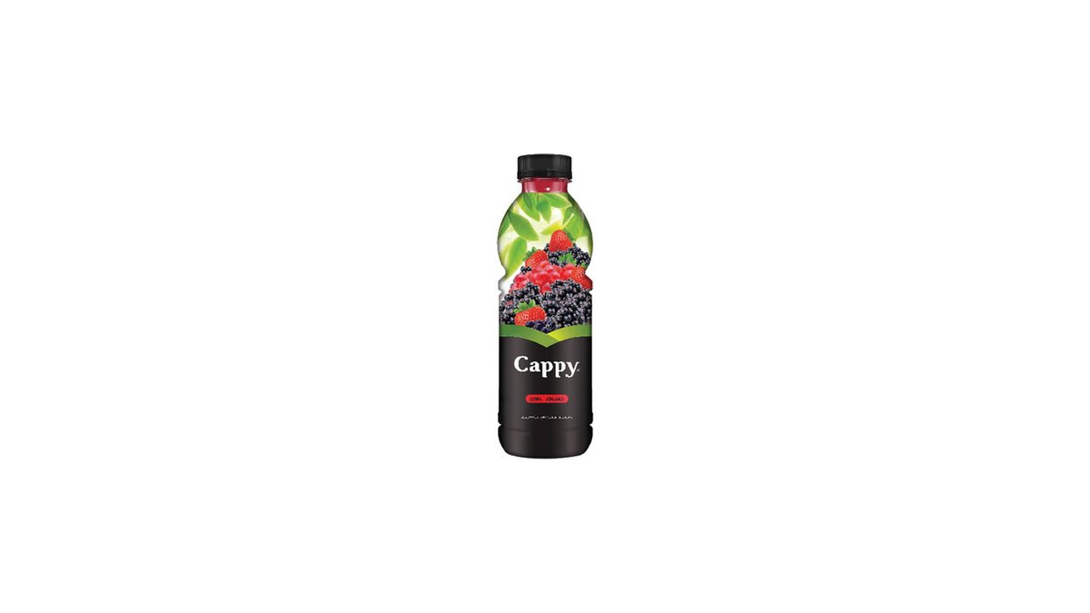 CAPPY juice forest berry (1 l)