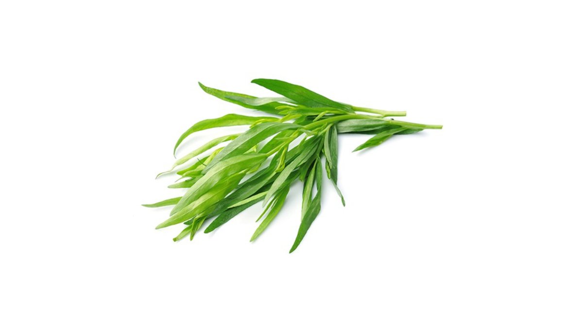 Herb