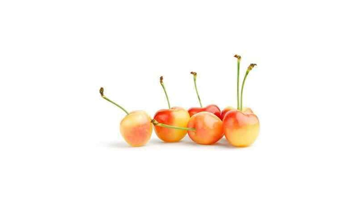 Cherry variegated