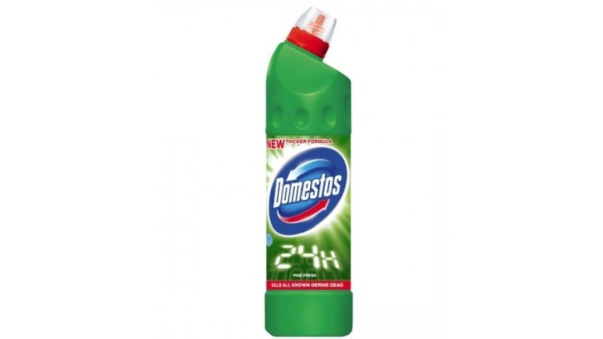 Domestos Cleaning Product (750 ml)