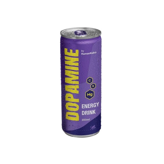 Energy Drink (250 ml)