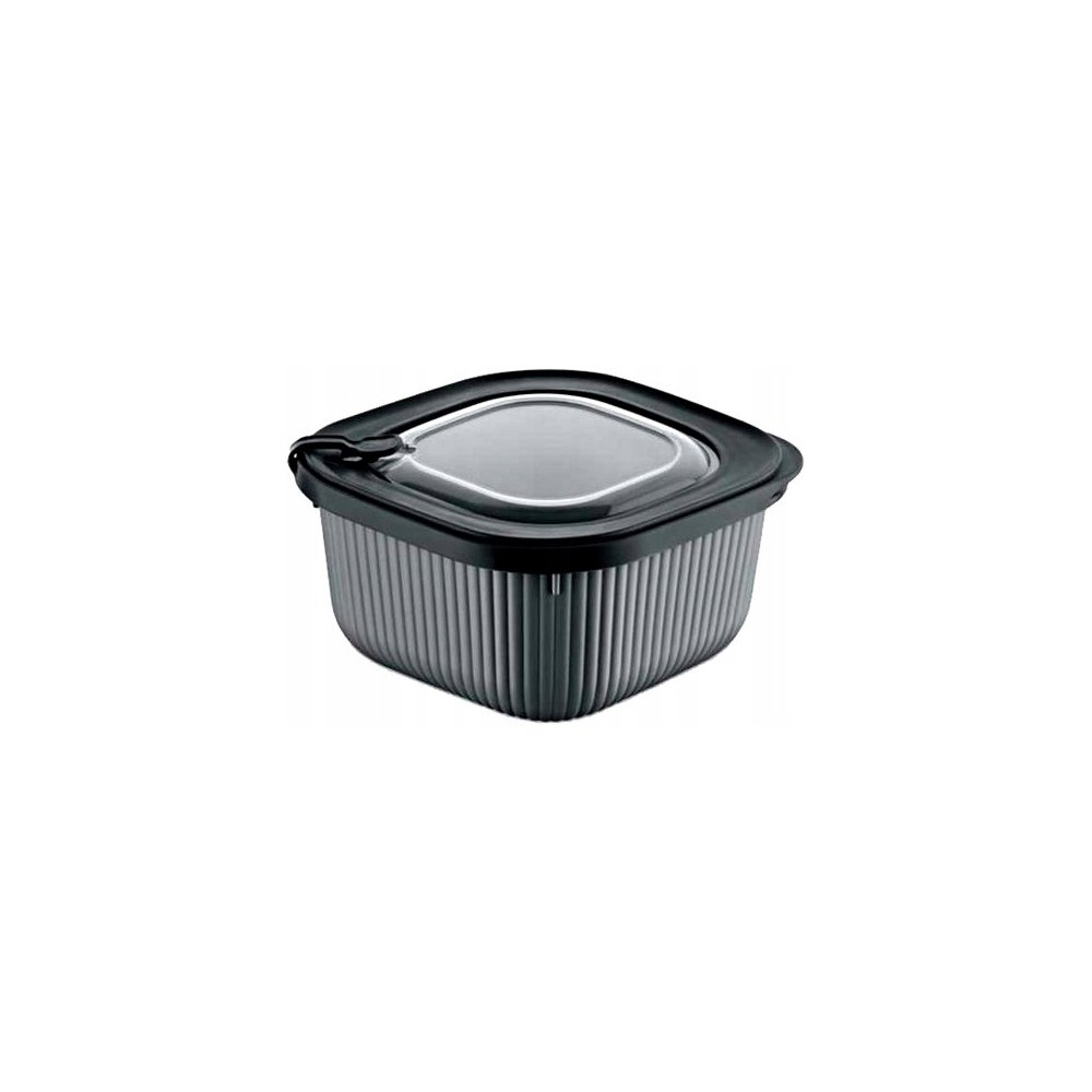 Dunya disposable container (1100 ml)
