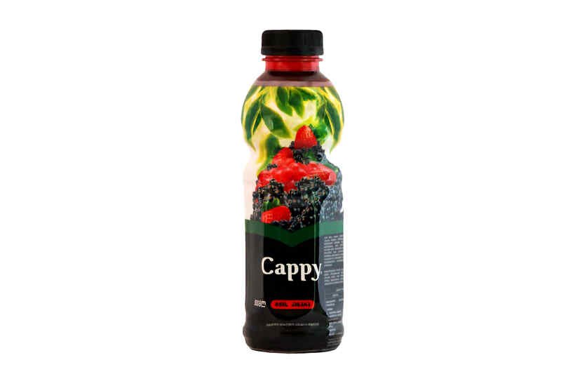Cappy сок Forest Berries (0.5 l)