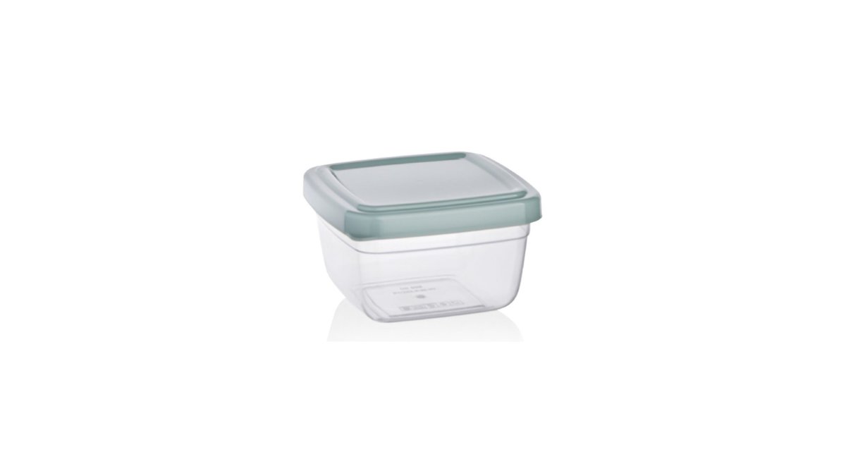 disposable container (550 ml)