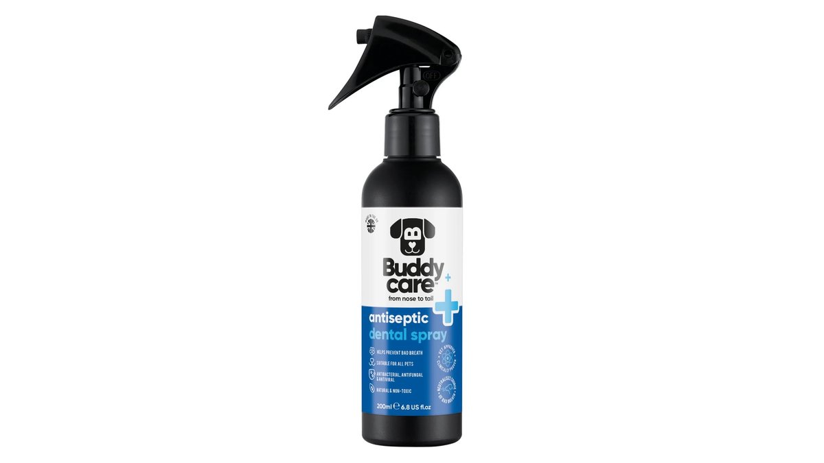 Bodycare Оральный спрей Antiseptic Oral Spray (200 ml)