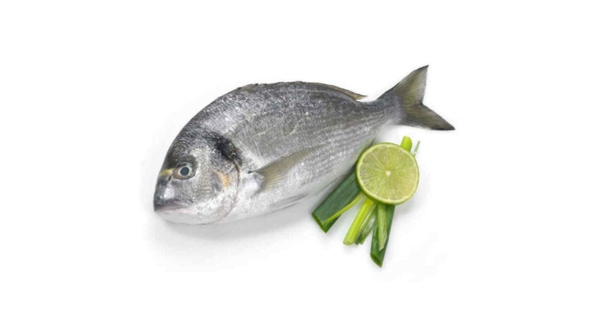 fish Dorado