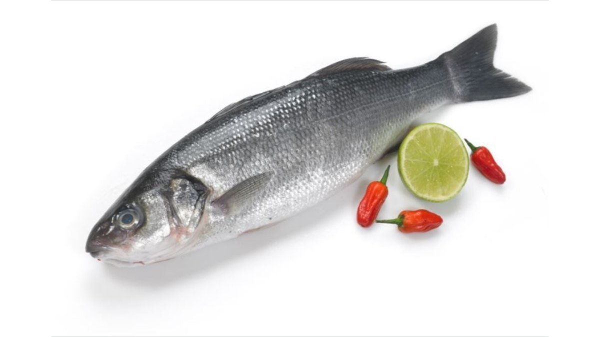 თევზი seabass