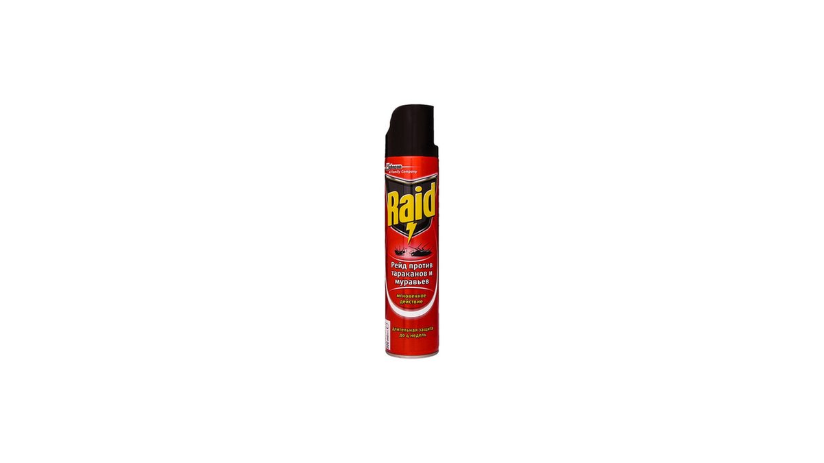 Raid Cleaning Spray (300 ml)